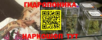 СК Кандалакша