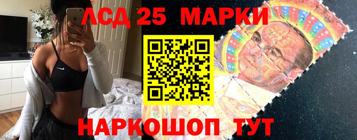 Новозыбков  Лсд 25 экстази  Вход с VPN  Лсд 25 экстази кислота 