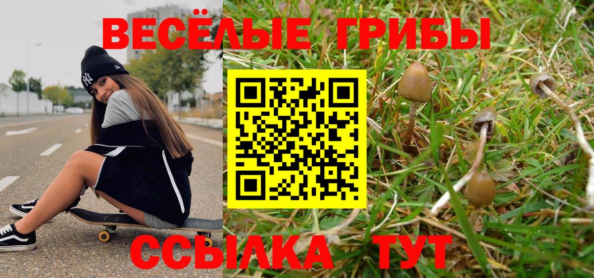 Мефедрон Новозыбков