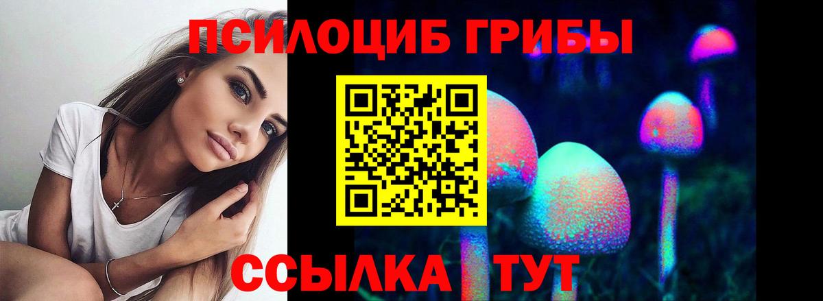 Галлюциногенные грибы GOLDEN TEACHER Новозыбков